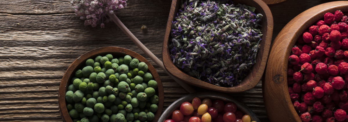 Titelbild Ernährung zeigt verschiedene Beeren und Lavendelblüten